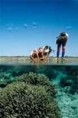 /album/photogallery/coraltourism-web-jpg/