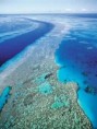 /album/photogallery/great-barrier200-jpg/
