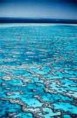 /album/photogallery/reef-web-jpg/